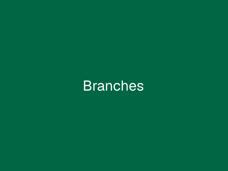 Branches