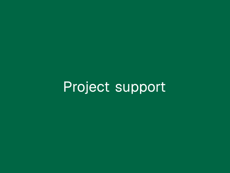 Project support