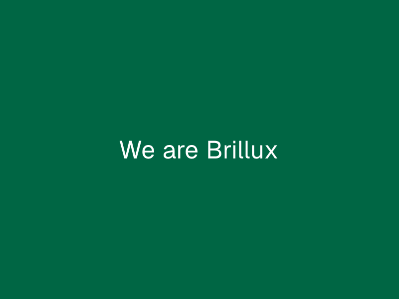 We are Brillux