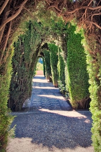 <p>The Alhambra, Granada (<i>Photo:</i> ©istockphoto/IvanBastien)</p>