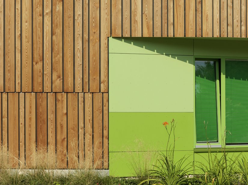 The green tones harmonize with the larch wood.