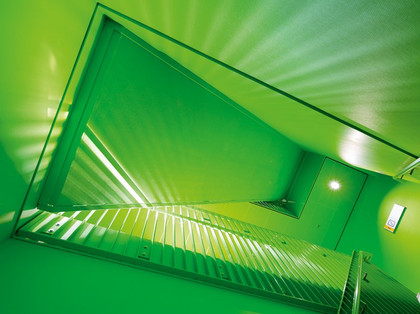A stairwell completely immersed in green.