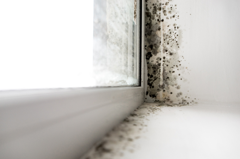 Critical points susceptible to mold growth