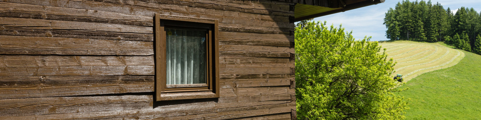 “Almhaus” house in the alps, Bad St. Leonhard