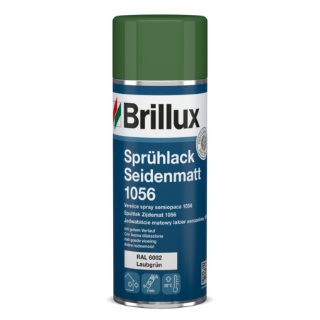 Spray Paint Silk Matt 1056