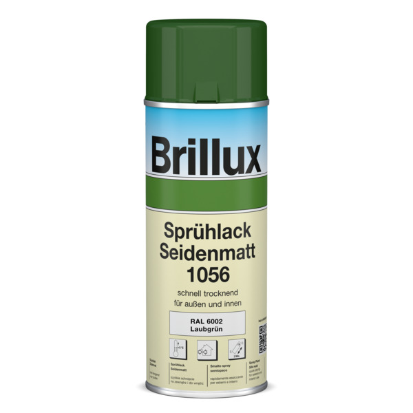 Spray Paint Silk Matt 1056